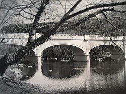 James Fenimore Sutton