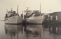 James Fenimore Sutton