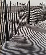 James Fenimore Sutton