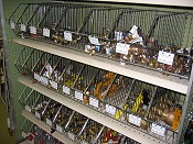 Shutoff Valves, Boiler Drains and Sillcocks
